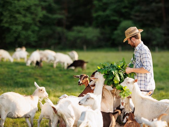 Farmer