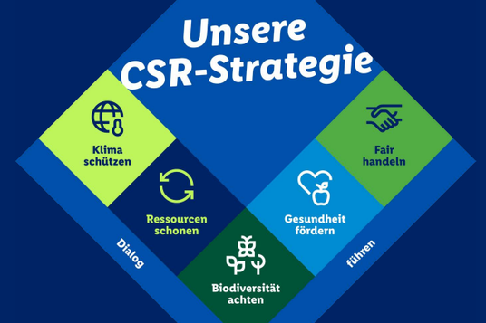 Image_Nachhaltigkeitsbericht_CSR-Strategie