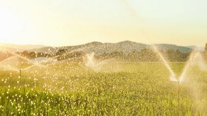 Sprinkleranlagen verteilen unter strahlendem Himmel feinen Wassernebel über einem grünen Feld vor einer Bergkulisse.