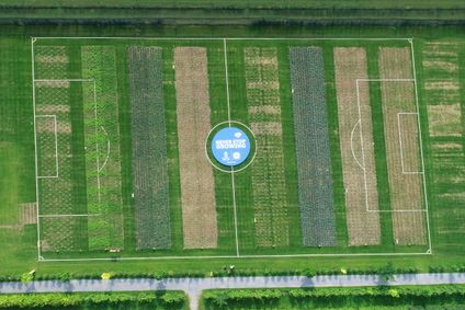 Fresh field 02