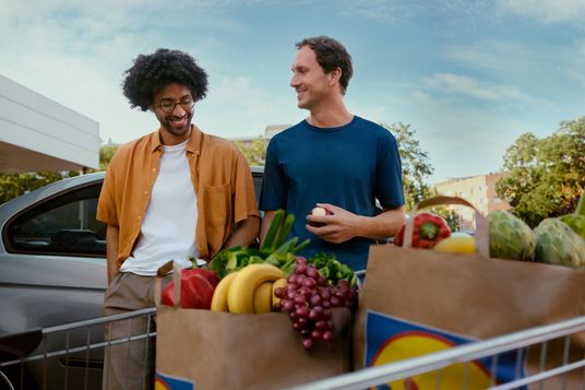alimentazione