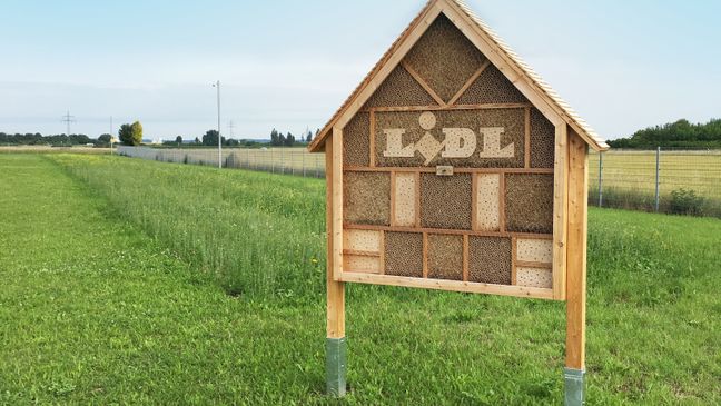 Ein großes, hölzernes Insektenhotel steht als Nisthilfe auf einer weiten Grasfläche unter klarem, blauem Himmel.