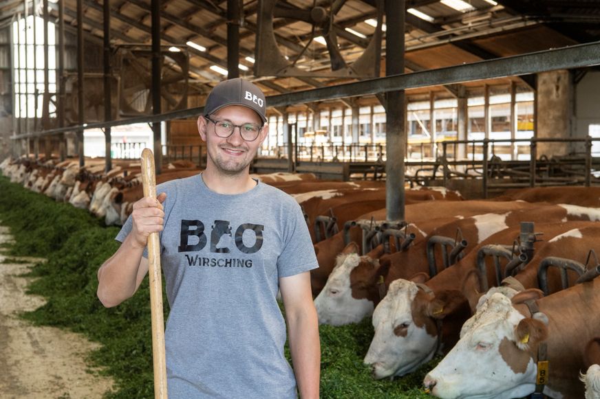 Landwirt steht lächelnd im Stall vor seiner fressenden Kuhherde und hält den Holzstab einer Heugabel.