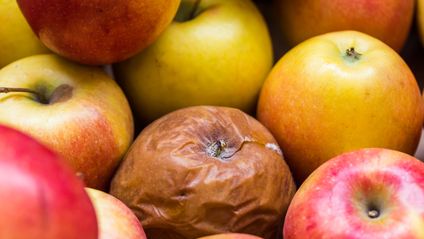 Äpfel