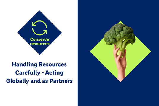 Sustainability report image
