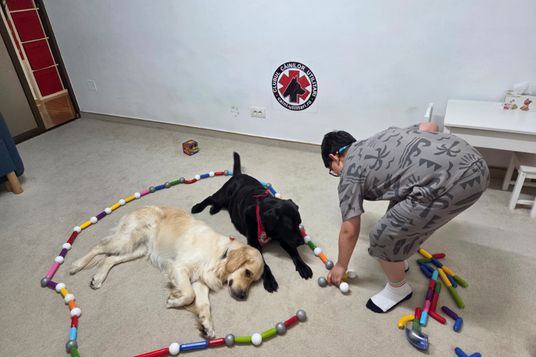 Asociația Clubul Câinilor Utilitari