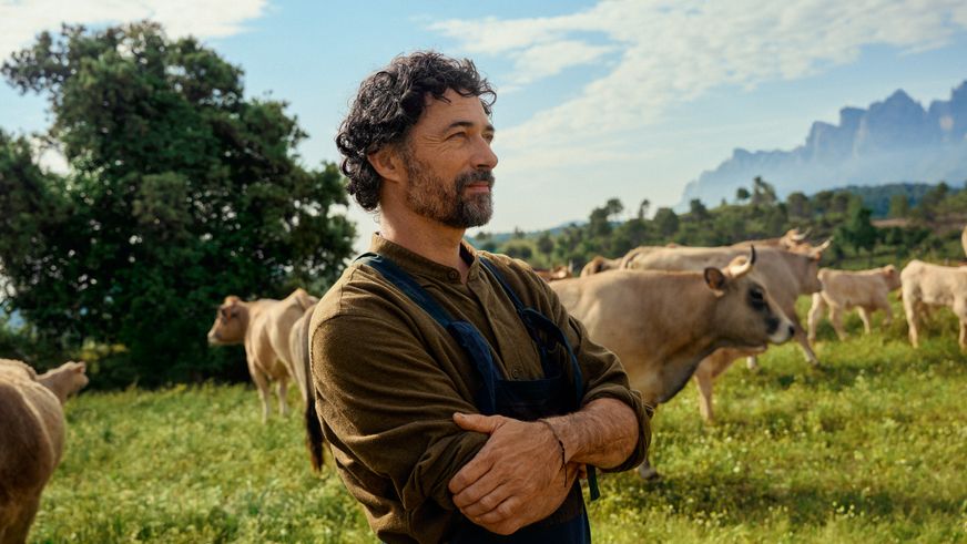 Ein bärtiger Mann steht zufrieden mit verschränkten Armen auf einer sonnigen Weide, während hinter ihm eine Rinderherde grast.