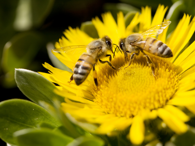 Respecting biodiversity hero image