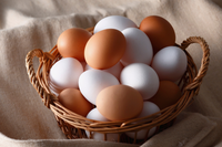 Eggs