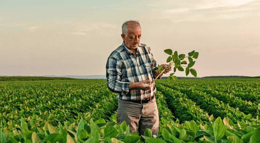 agriculteur