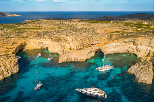 Maltas coastlines and marine life image