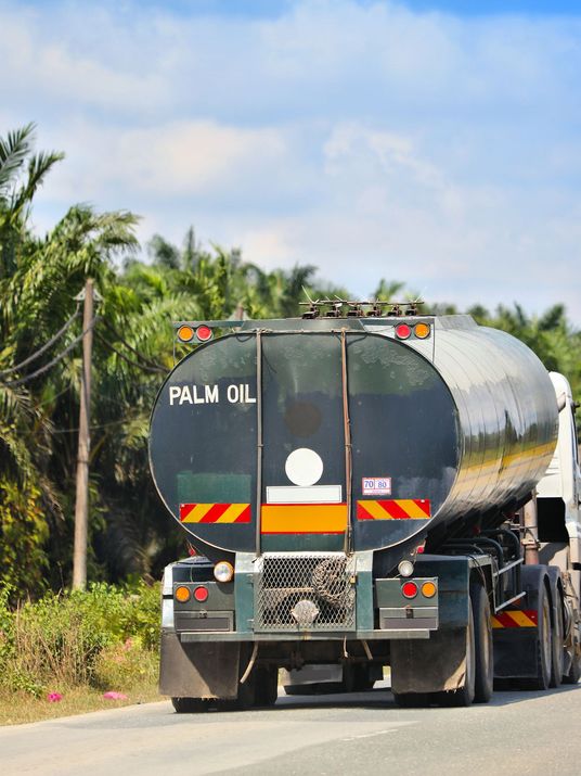 Ein Palmöl-Tankwagen fährt auf einer Straße entlang einer Ölpalmenplantage.