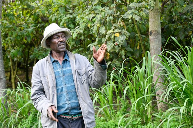 Ein Kleinbauer mit Hut steht vor grünen Sträuchern und unterstreicht seine Ausführungen mit lebhaften Handbewegungen.