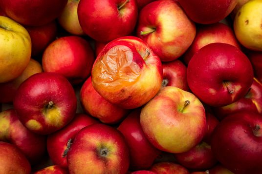 Reduction of food waste and loss image