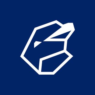 Ein stilisierter Delfinkopf aus dicken, kantigen weißen Linien blickt auf dunkelblauem Grund nach rechts oben.