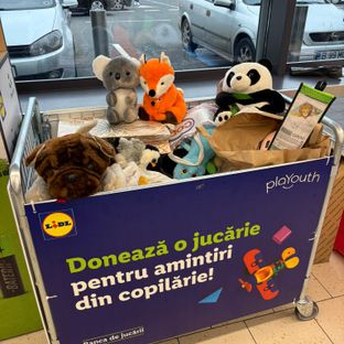 Banca de Jucării urmărește reducerea deșeurilor, prin reutilizarea (colectarea și redistribuirea) jucăriilor, cărților și jocurilor