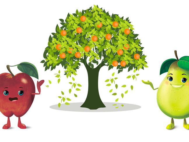 Produtos amigos da Terra são produtos certificados
