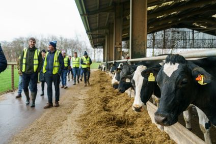 Mehrere Personen in Warnwesten passieren eine Stallanlage mit Rindern.