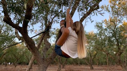 bimba che si arrampica sul albero