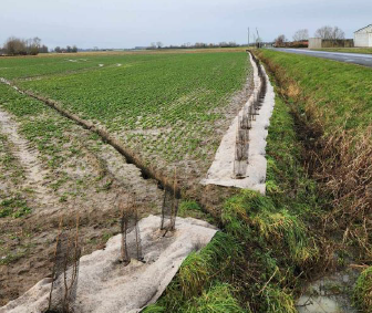 plantations de haies dans les parcelles agricoles