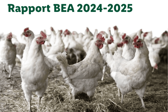 Rapport BEA