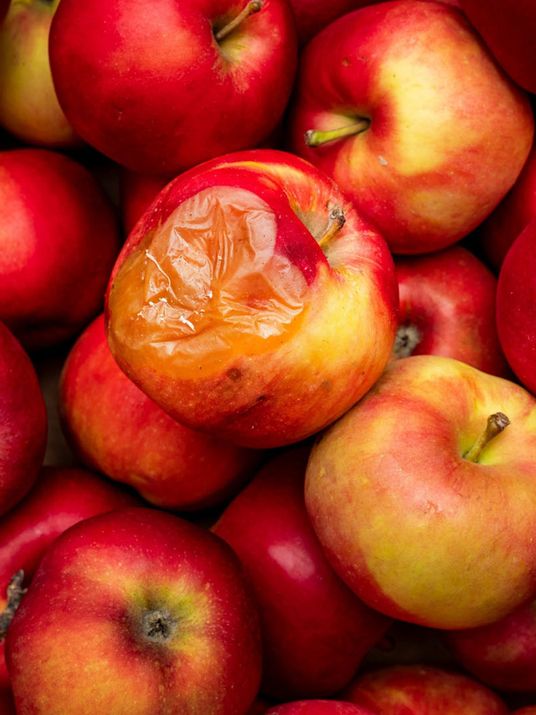 Nahaufnahme von einem Haufen roter Äpfeln, wobei der mittlere eine deutliche Druckstelle hat.