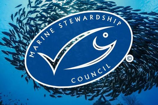 MSC Logo