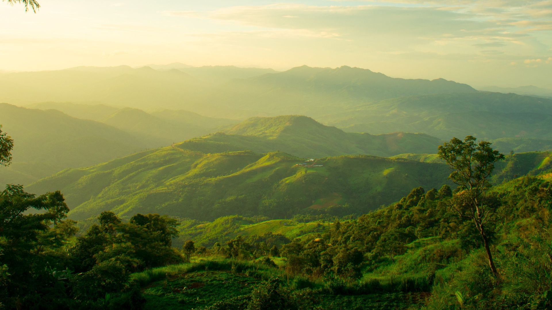 The longitudinal mountains and the setting sun and the forest on Doi Tung