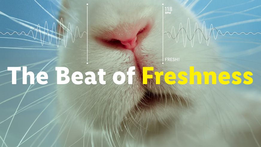 „The Beat of Freshness”: Lidl stellt Frische im Rahmen einer Kreativ-Aktivierung unter Beweis