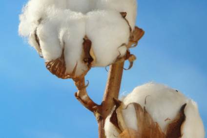 Cotton made in Africa hero image