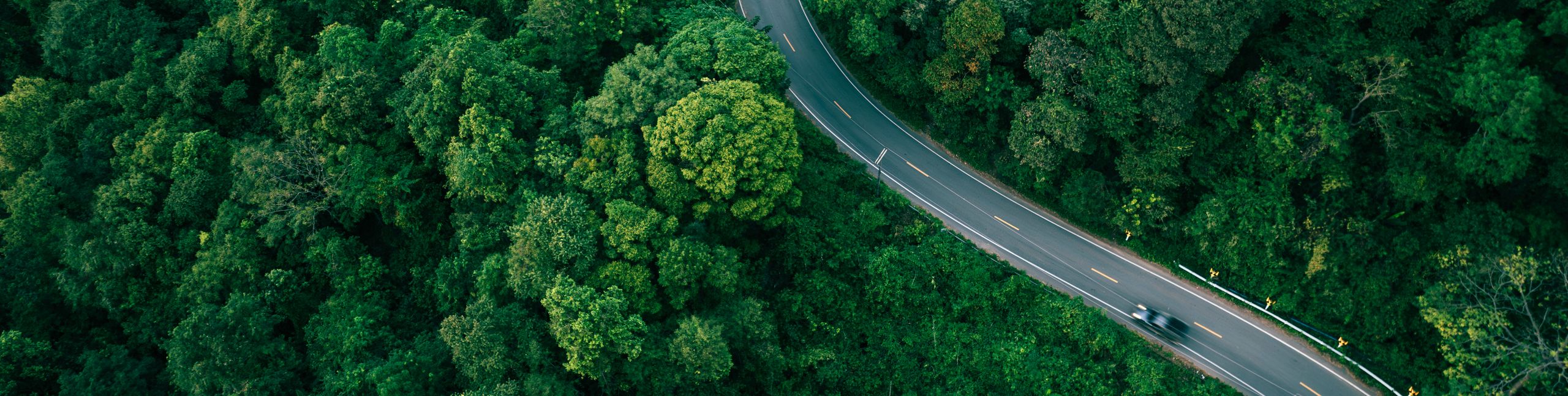 Scenic winding road in forest, suitable for green business concepts, climate responsibility, sustainable investment planning, and eco-conscious corporate messaging.