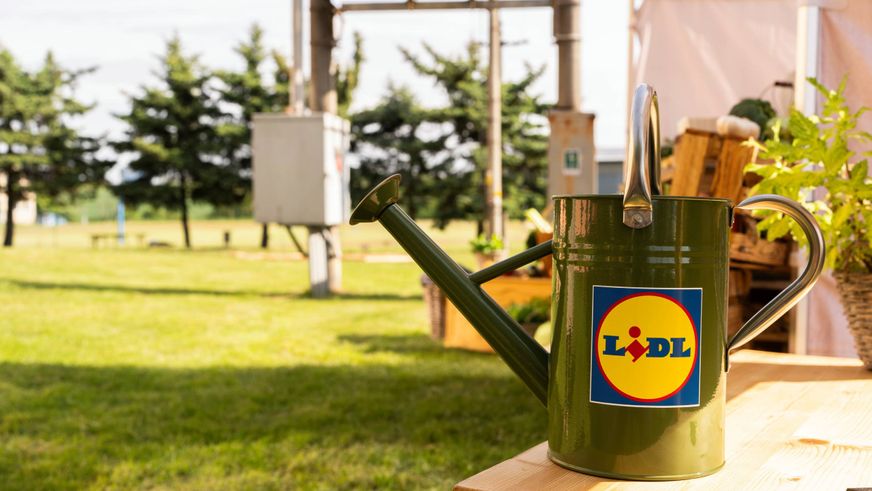 Lidl podpoří nové jedlé zahrady