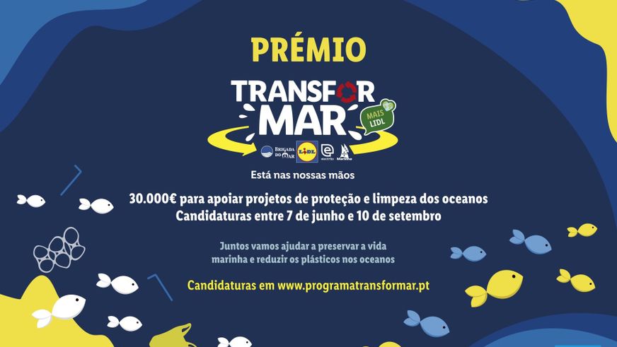 Lidl TransforMAR_7.0