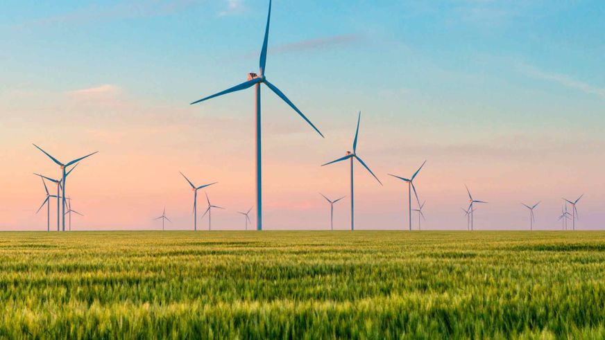 Net-Zero Emissões GEE