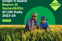 Report di sostenibilità 2023-2024