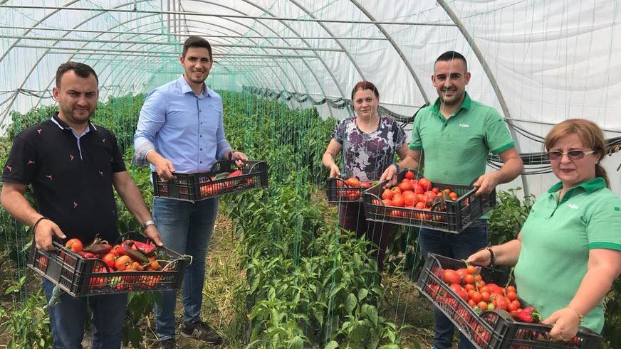Peste 500 de angajați din magazinele Lidl au fost pe teren să vadă de unde vin fructele și legumele românești pe care le vinde lanțul de supermarketuri
