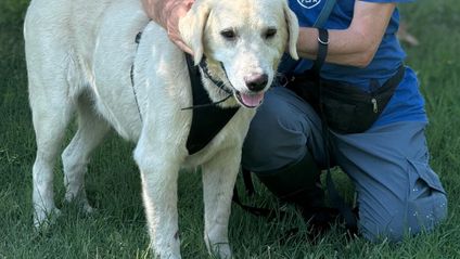 ENPA