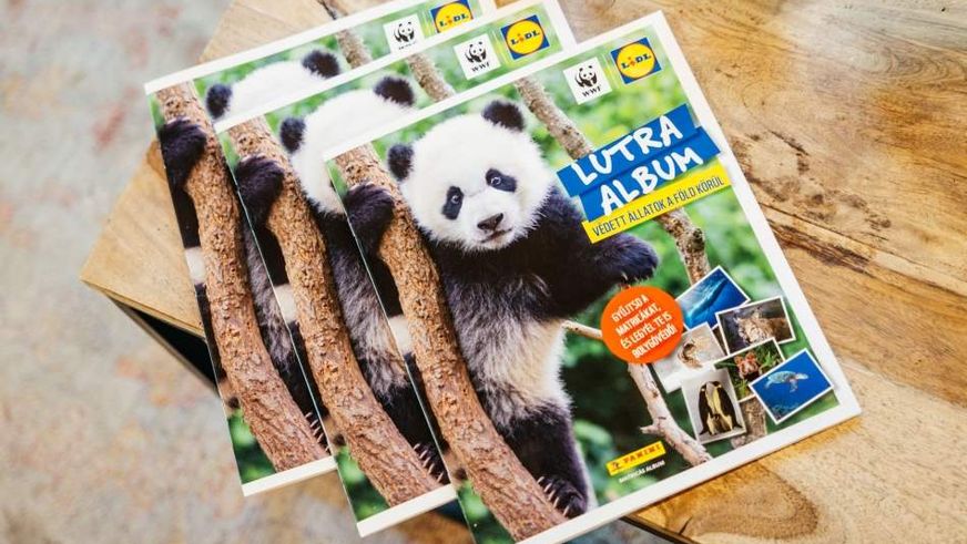 Lutra album vizualizáció