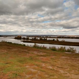 Mokradła