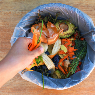 Food waste image