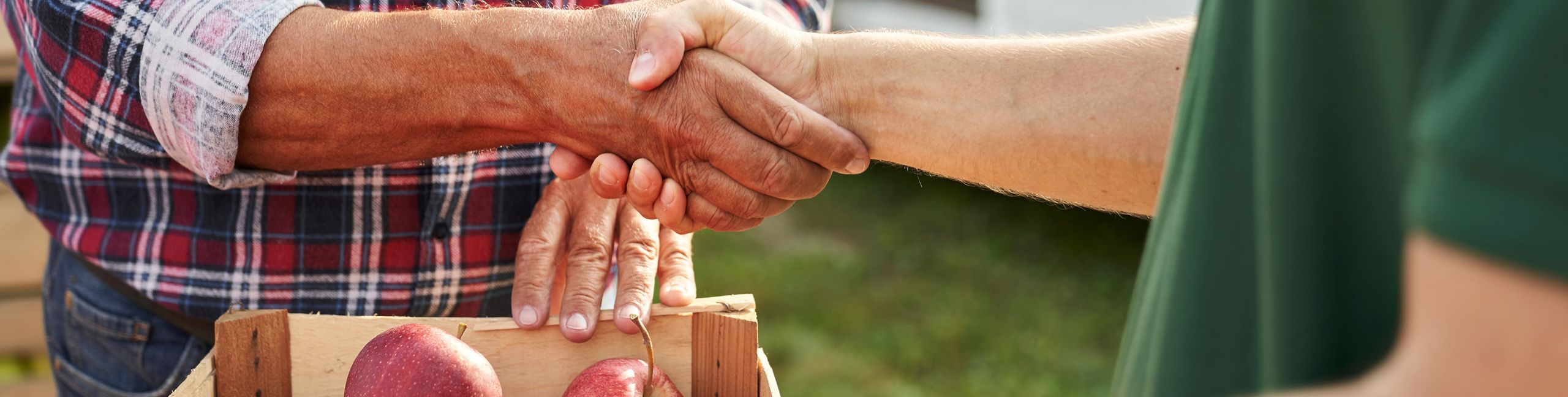 Image_Verantwortung_Partnerschaften und Initiativen_Header
