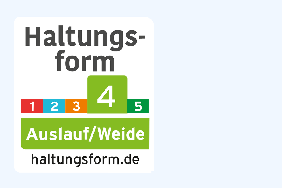 Haltungsform 4