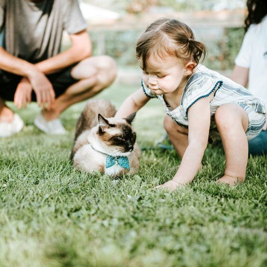 Criança a brincar com gato
