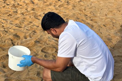 Beach clean up 5