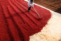 Raw Materials