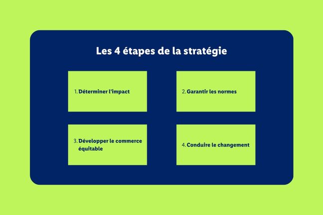 les étapes de la stratégie