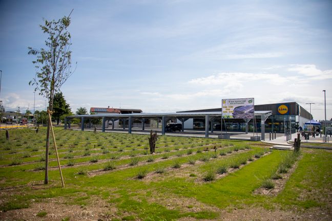 Ein großer Parkplatz mit mehreren Reihen von Photovoltaik-Überdachungen vor einem bewaldeten Hintergrund.