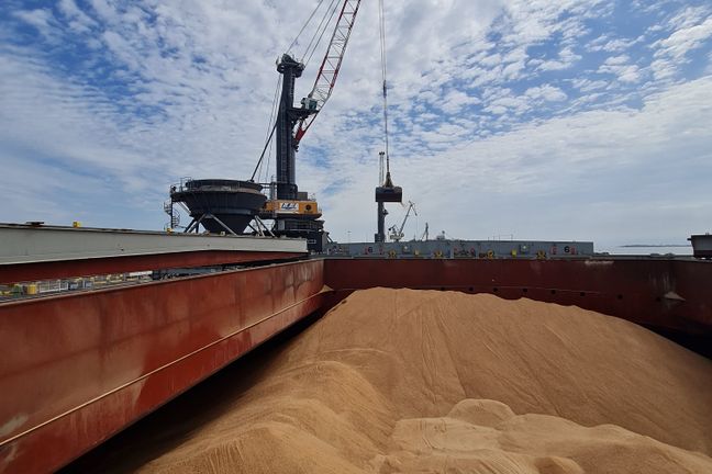 cargo de soja ZDC