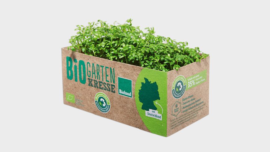 Nachhaltige Silphie-Verpackungen von OutNature bei Lidl. Foto: OutNature