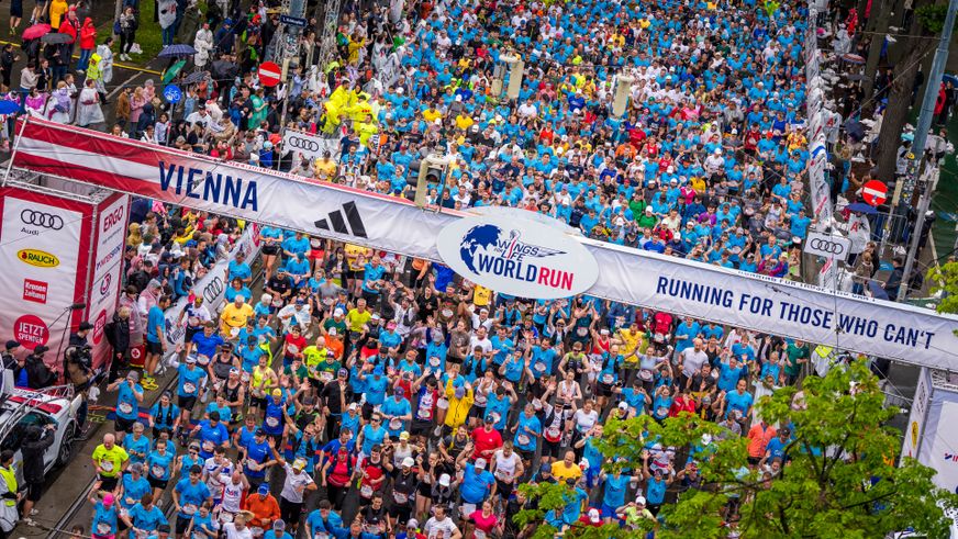 Wing for Live World Run
